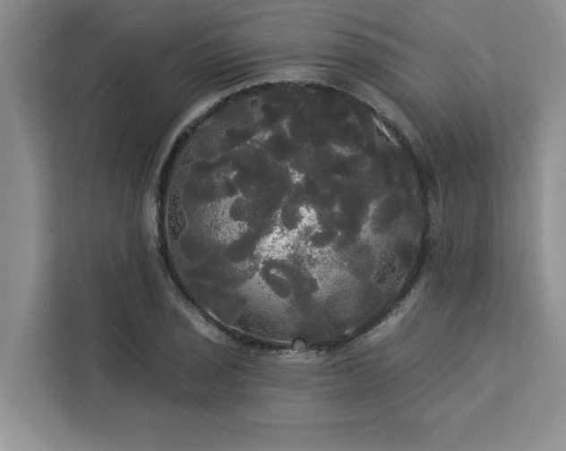 X0000113081029200908281219