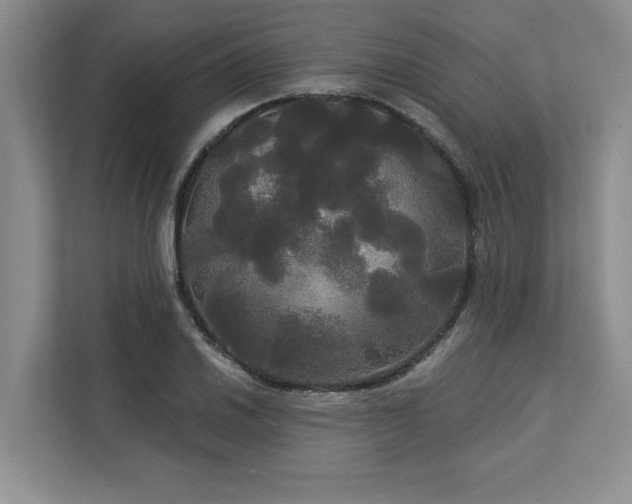 X0000113081030200908281219