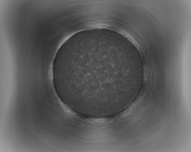 X0000113081031200908281219