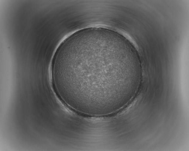 X0000113081032200908281219