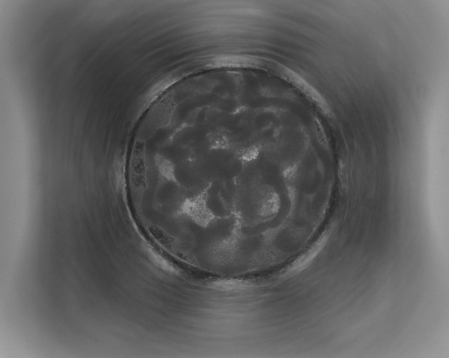 X0000113081033200908281219