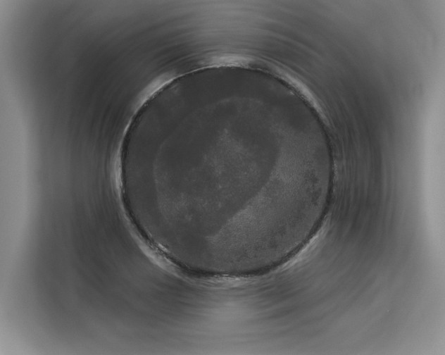 X0000113081034200908281219