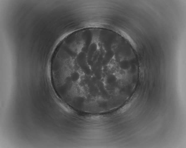 X0000113081035200908281219