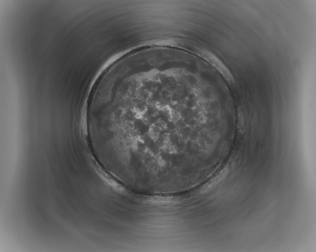 X0000113081036200908281219