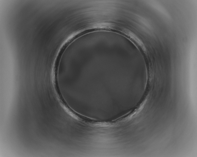 X0000113081037200908281219