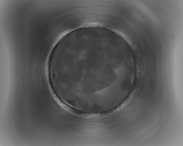 X0000113081038200908281219