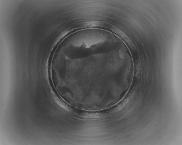 X0000113081039200908281219