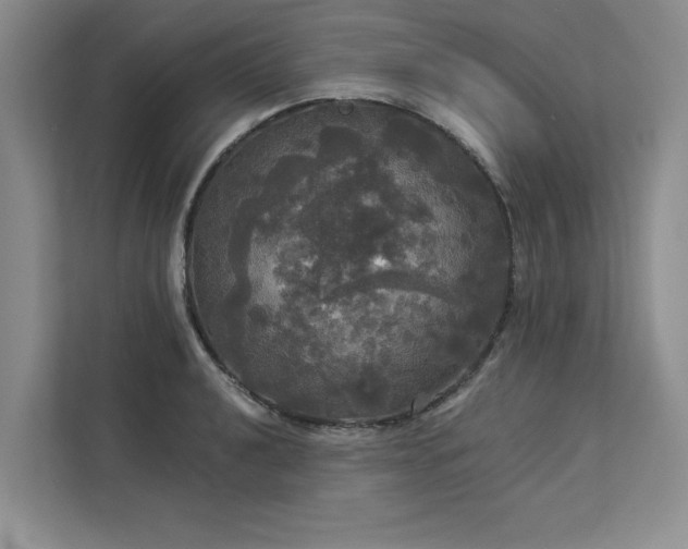 X0000113081040200908281219