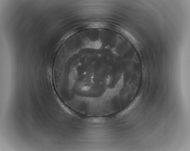 X0000113081041200908281219