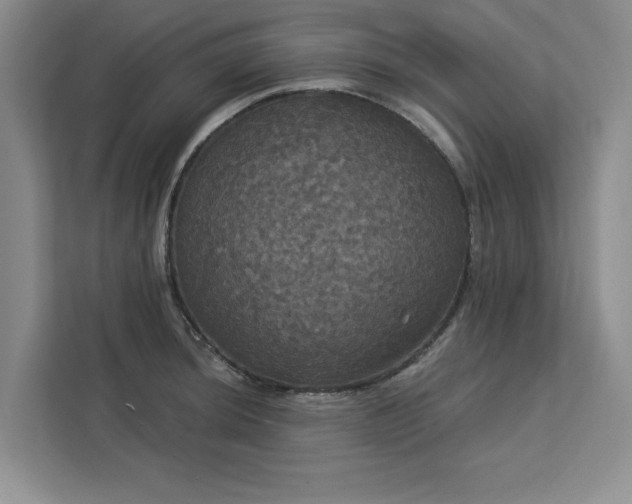 X0000113081044200908281219