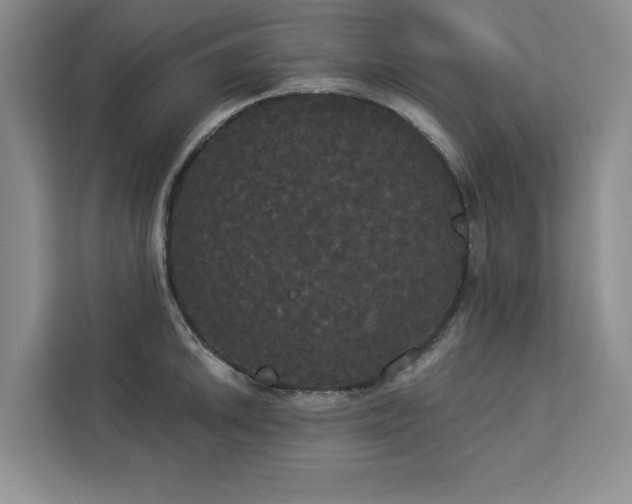 X0000113081046200908281219