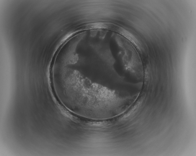 X0000113081047200908281219