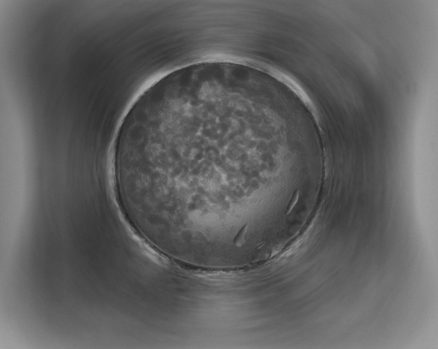 X0000113081048200908281219