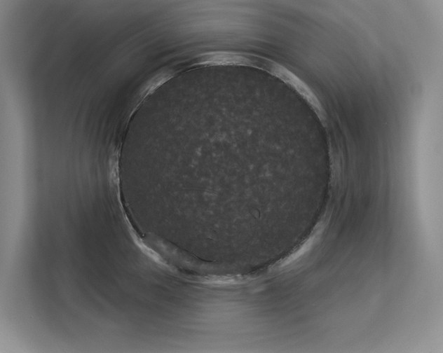 X0000113081049200908281219