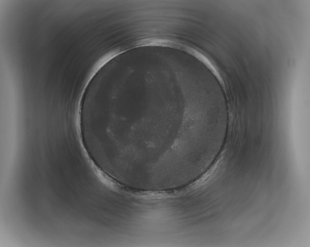 X0000113081050200908281219