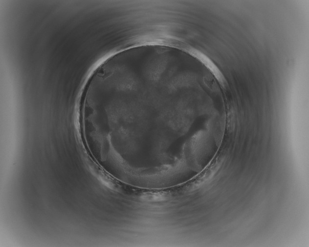 X0000113081051200908281219