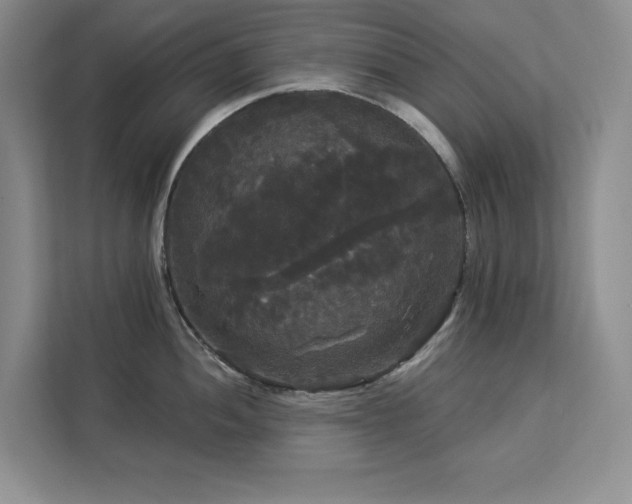 X0000113081052200908281219