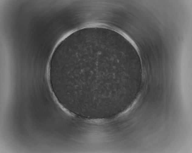 X0000113081053200908281219