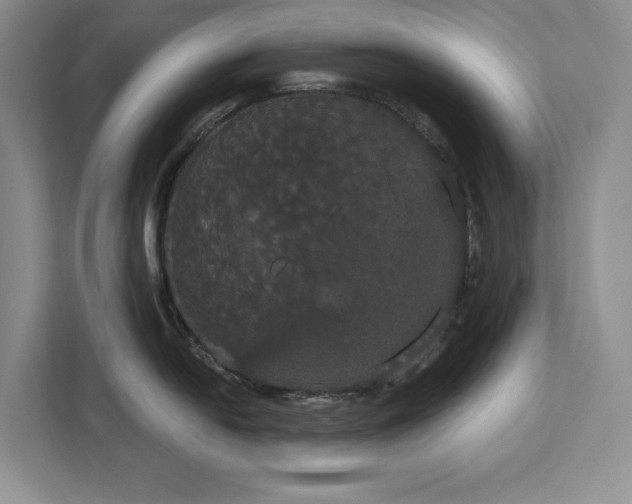 X0000113081054200908281219