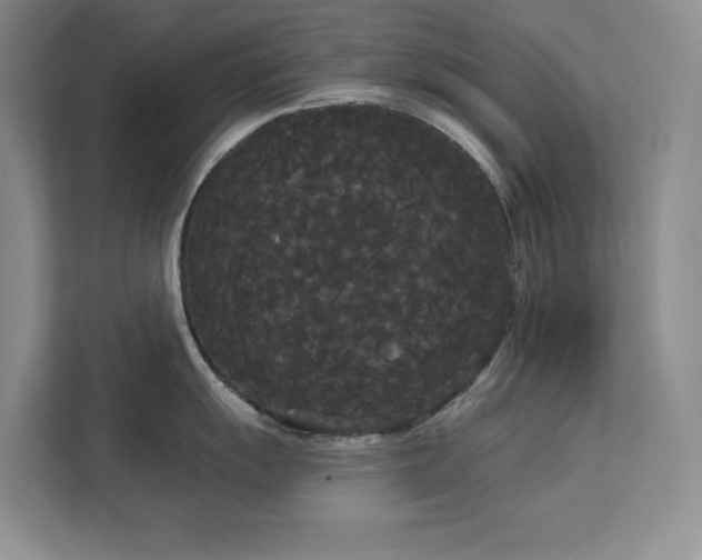 X0000113081055200908281219