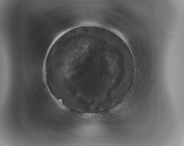 X0000113081056200908281219