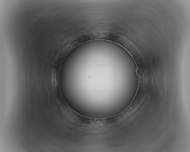 X0000113081058200908281219