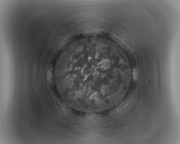 X0000113081059200908281219