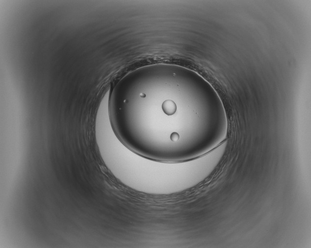 X0000113081060200908281219