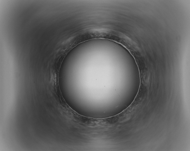 X0000113081061200908281219