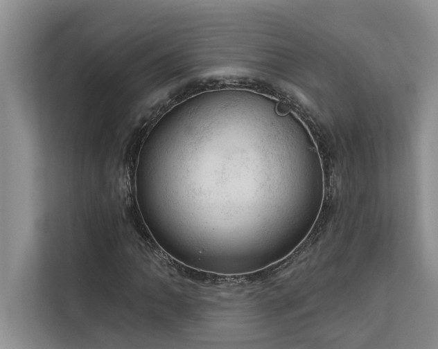 X0000113081062200908281218