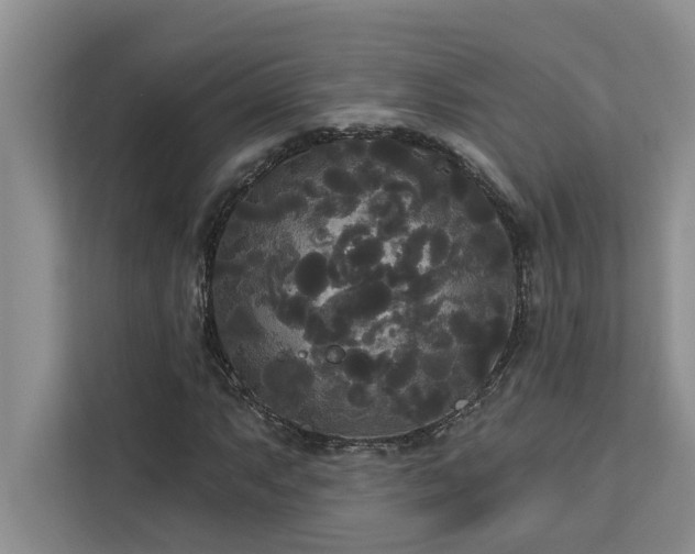 X0000113081063200908281218