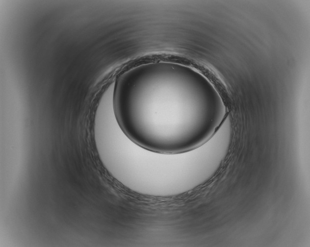 X0000113081064200908281218