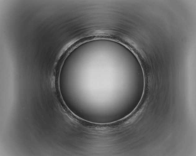 X0000113081066200908281218