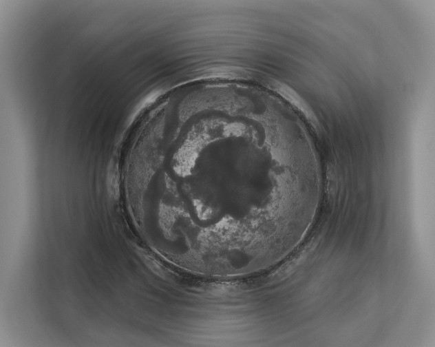 X0000113081067200908281218