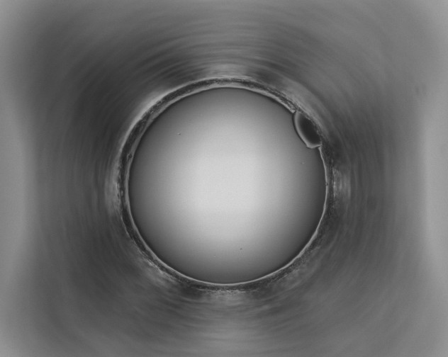 X0000113081068200908281218