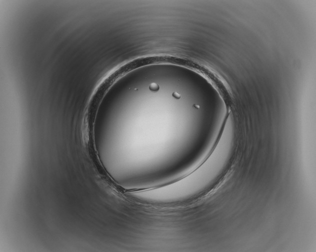 X0000113081069200908281218