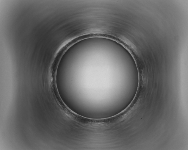 X0000113081070200908281218