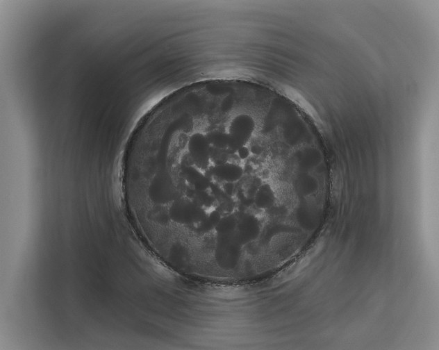 X0000113081071200908281218