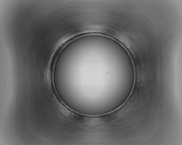 X0000113081072200908281218