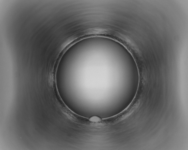 X0000113081073200908281218