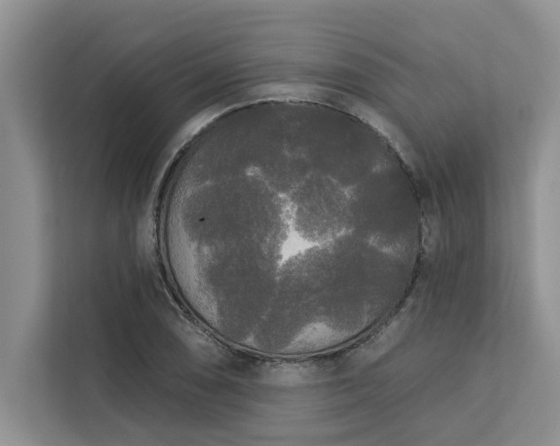 X0000113081074200908281218