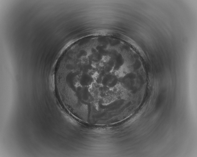 X0000113081075200908281218