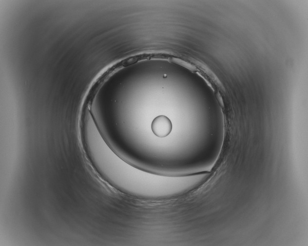 X0000113081076200908281218