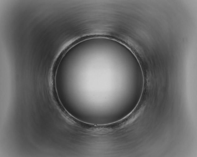 X0000113081077200908281218