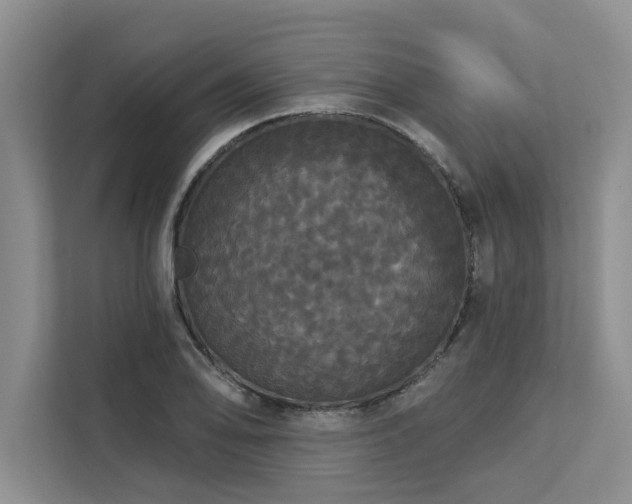 X0000113081078200908281218