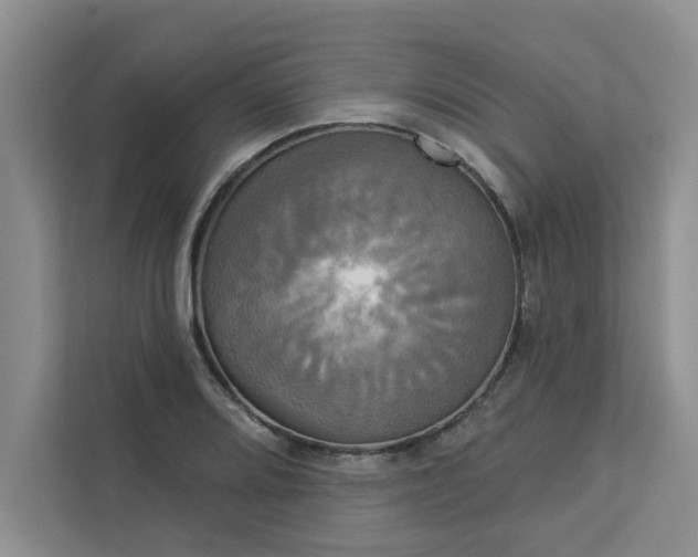 X0000113081080200908281218