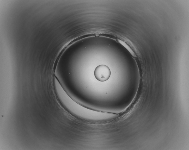 X0000113081081200908281218