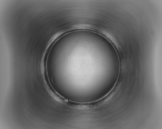 X0000113081082200908281218