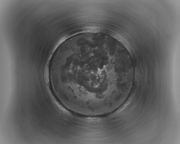 X0000113081083200908281218