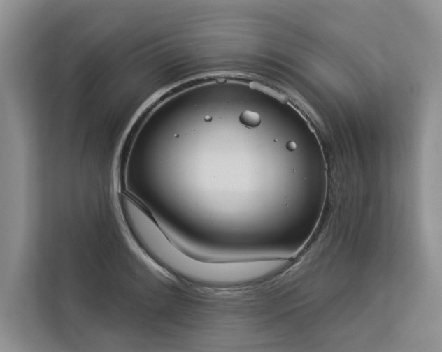 X0000113081084200908281218